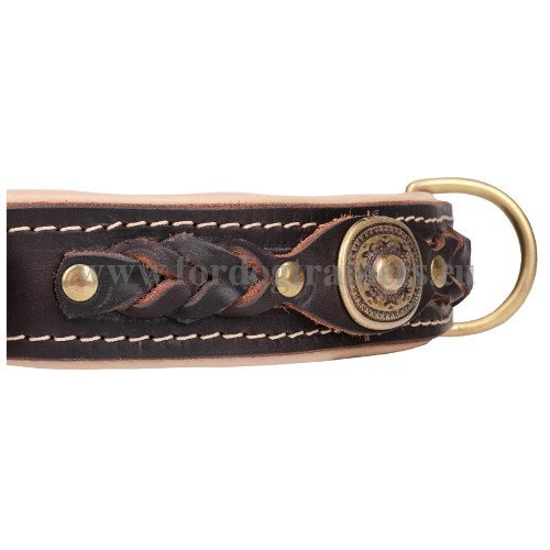 Luxus Hundehalsband Leder mit Messing Beschlgen