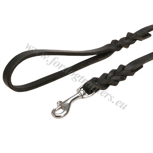 Braided
Dog Leash