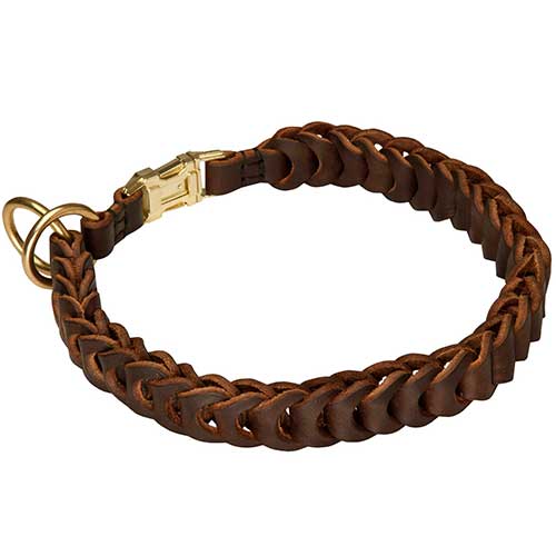 Molosser Dog Correction Leather Collar