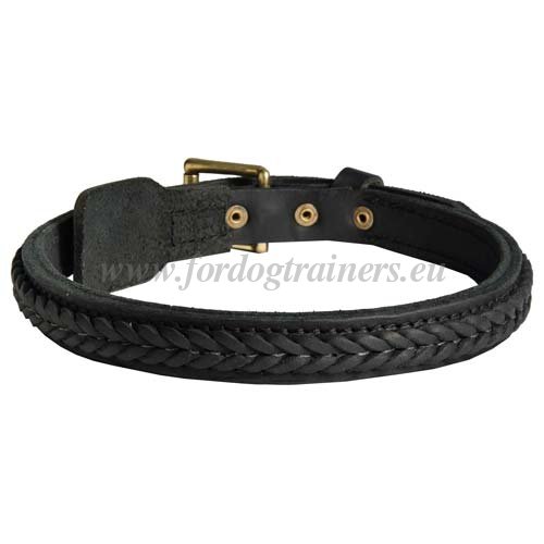 Quality Dog Collar with Braid