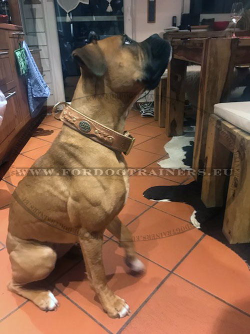 Leather Collar Decorated with Braids for Dog