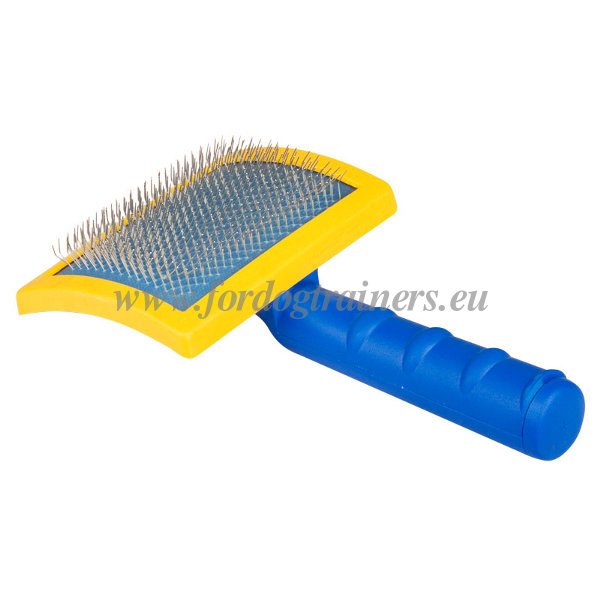 Brosse carde pour chien en plastique