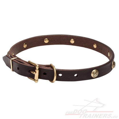 Brown Leather Dog Collar Hardware