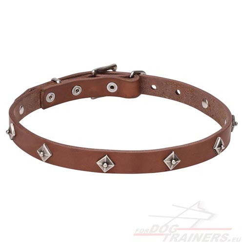 Designer Dog Collar Space Style Small Dog