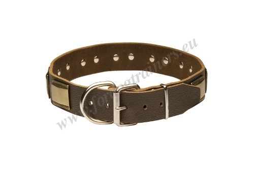 Rustproof Hardware of the Dog Collar