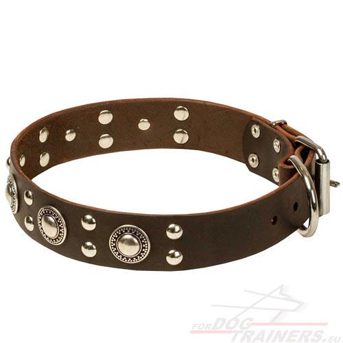 Functional Leather Collar Brown for Dog