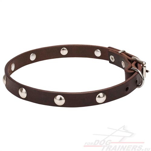 Handcrafted Brown Collar for Dog