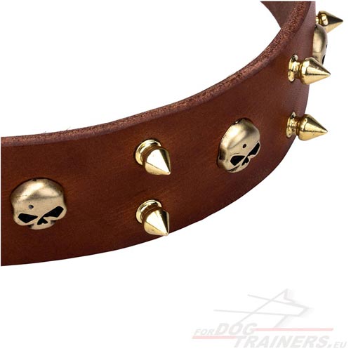 Spiked Leather Collar 40 mm for Dogs