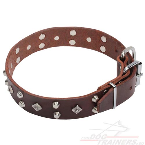 Brown Dog Collar Adorned with Nickel-plated Decorations