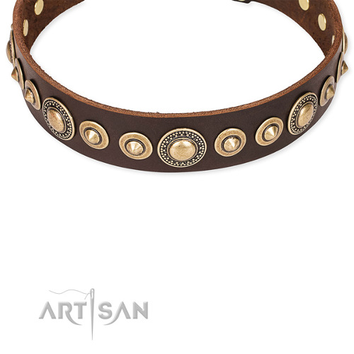 Soft Brown Leather Dog Collar with Studs for Dog Walking
