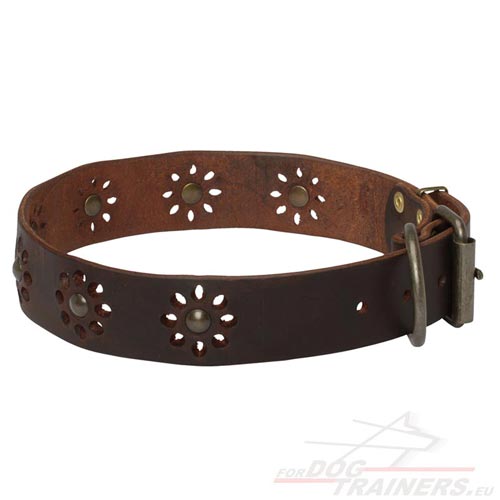 Practicable Leather Collar for Walking and Dog Handling