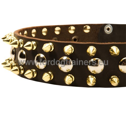 Decorative Leather Collar for Dog Walking