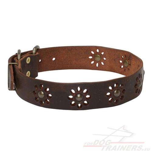 Designer Leather Collar Brown for Big Dog