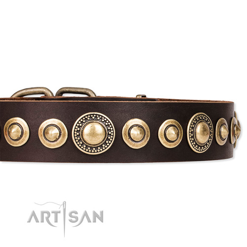 Quality Leather Dog Collar Artisan