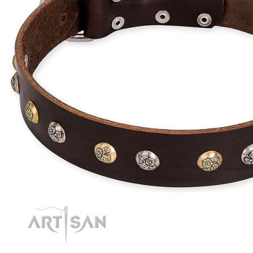 Leather Pet Collars Decorated