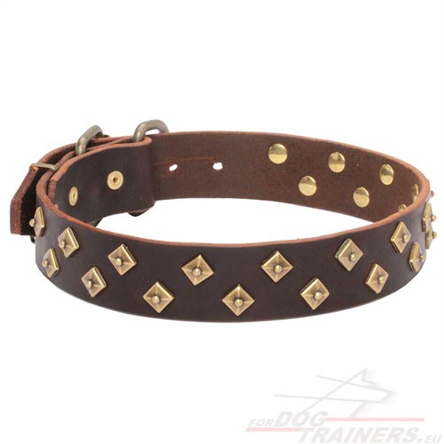 Brown Leather Decorated Dog Collar