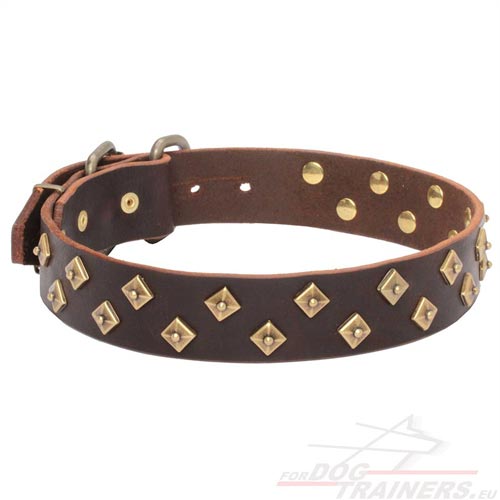 Versierde Lederen Honden Halsband