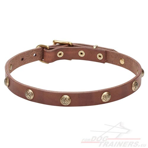 Luxurious Leather Dog Collar Brown
