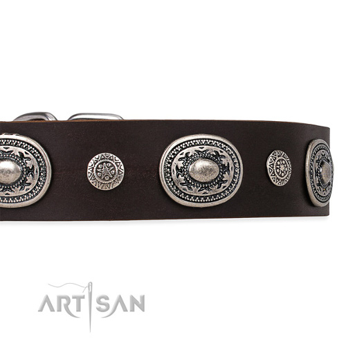 Luxury honden halsband met zilveren Circles