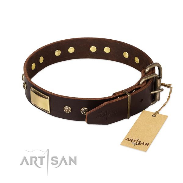 Wide Leather Dog Collar for Walking