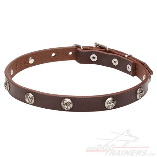 Brown Leather Dog Collar with Summer Decor