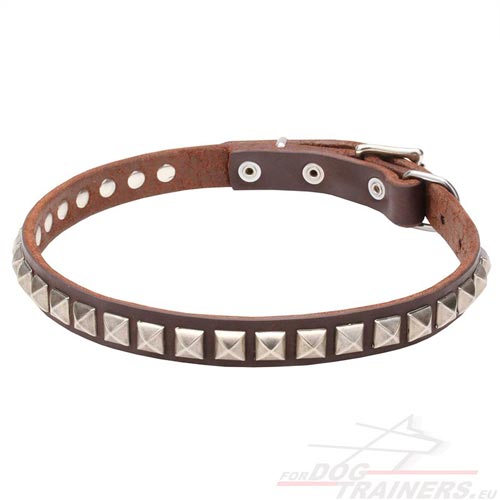 Dog Collar with Studs Brown Leather