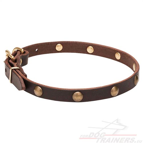 Dog Collar 20 mm Wide Leather