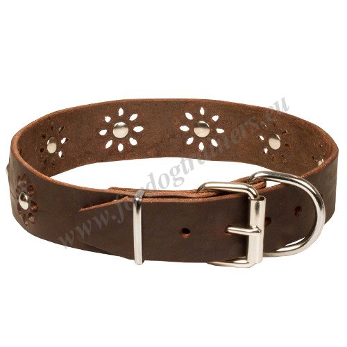 Brown Leather Collar for St Bernard