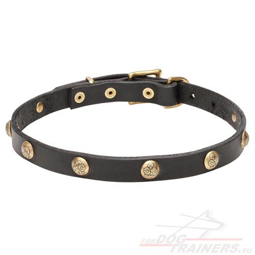 Handmade Narrow Black Collar
for Dogs