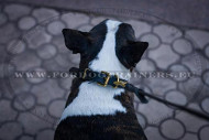 Leather Choke Collar for Dog Training