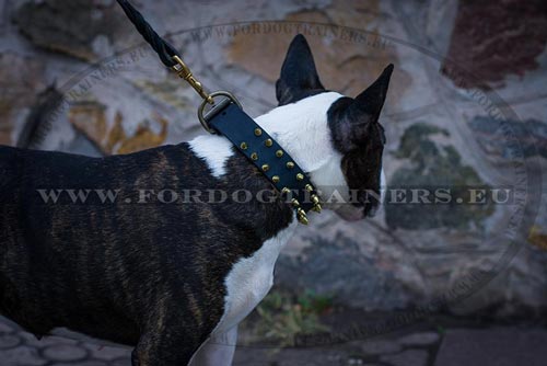 Spiked Collar for Medium Dogs