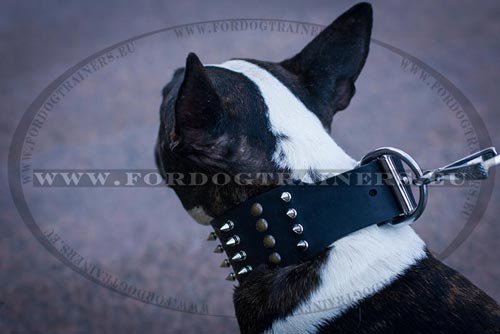 Extra Big Dog Prong Collar