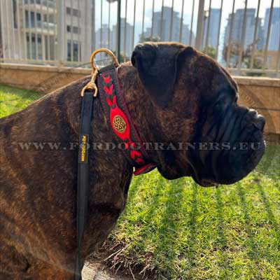 Molosser Dog Training Fancy Collar
