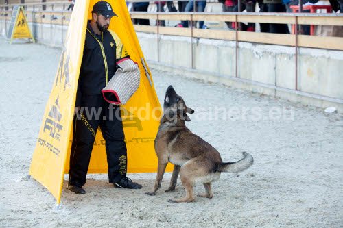 Matériel pour sport canin : cachette, costume, manchette
avec fourreau de protection