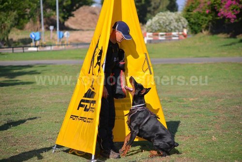 Matériel pour sport canin - cachette pliable