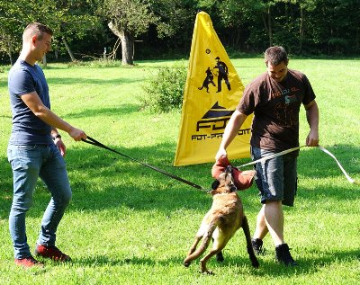 Cachette protection chien en matriel polymre