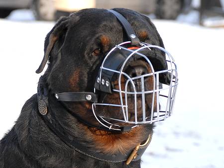 Cage Muzzle for Rottweiler