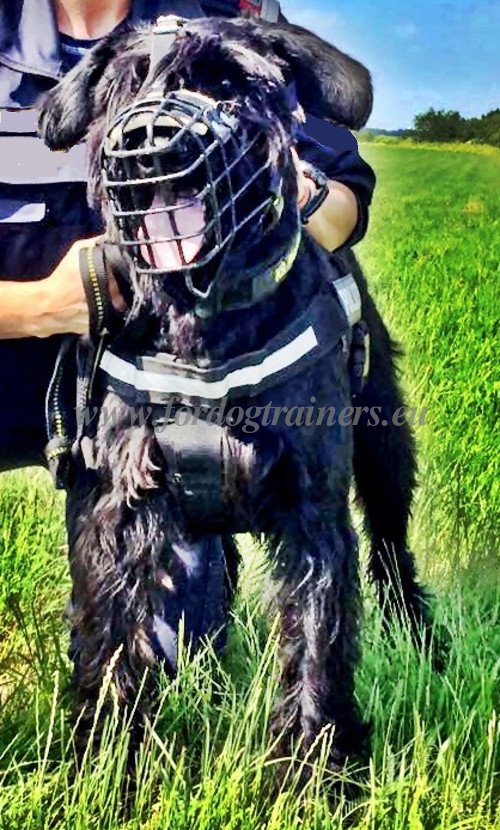 Wire Basket Muzzle for Riesenschnauzer