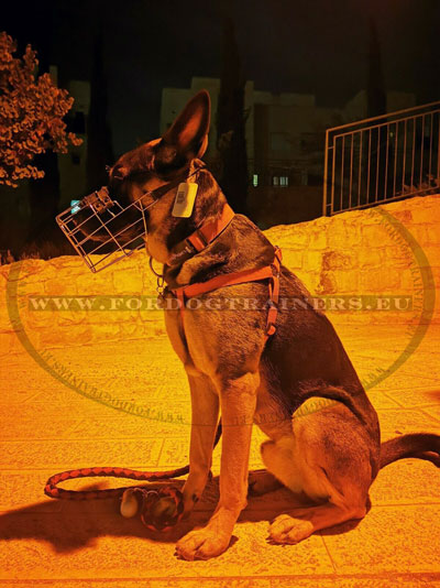 Basket Muzzle for German Shepherd Metal Cage