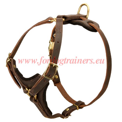 Leather
Harness for Large Dogs