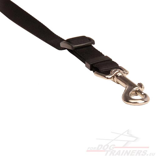 Car Travel
Black Dog Leash