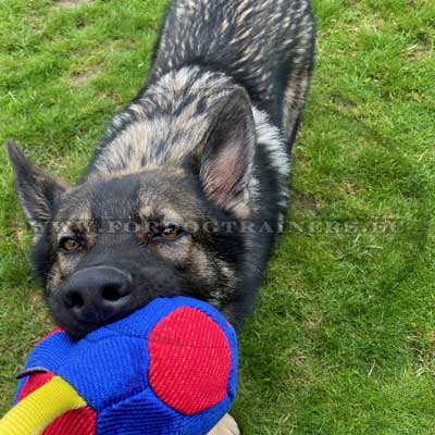 Tough Dog Ball with Handle Stuffed