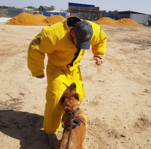 Vtement pour formation chiens de scurit