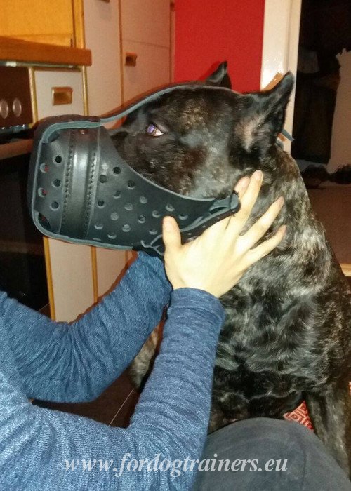 No Bite Dog Muzzle Genuine Leather