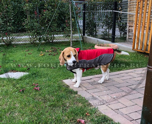 Waterproof Dog Coat for Winter Walking