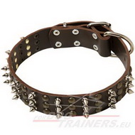 Dog Collar Leather with Decorative Spikes and Studs [S59##1057 Collare esclusivo in pelle con borchie per cani]