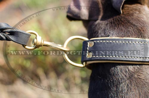 Dog Collar for Pitbull Stitched