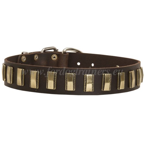 Malinois Lederhalsband mit Platten