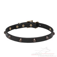 Studded Collar with Cones for Dogs ❥