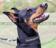 Collar nailon para perros para deporte, paseos y doma [C40##1057 Collare in nylon per Dobermann]